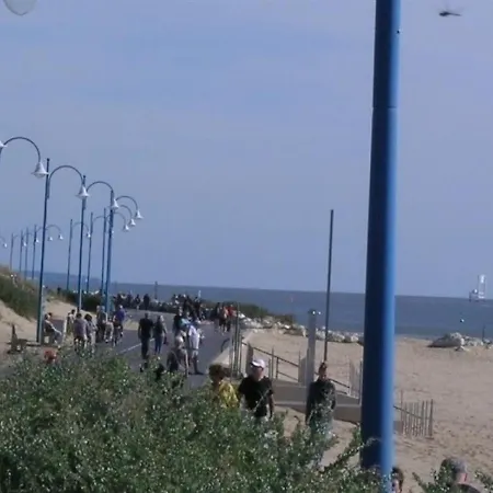 La Palmyre Et La Cote De Beaute 1 *