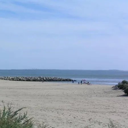La Palmyre Et La Cote De Beaute 1 * 레 마트